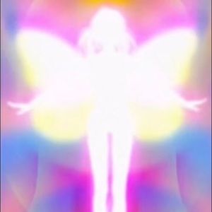 Meet your Posher, Evan